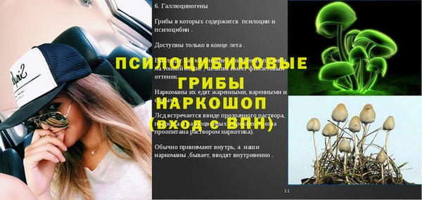 стафф Алексин